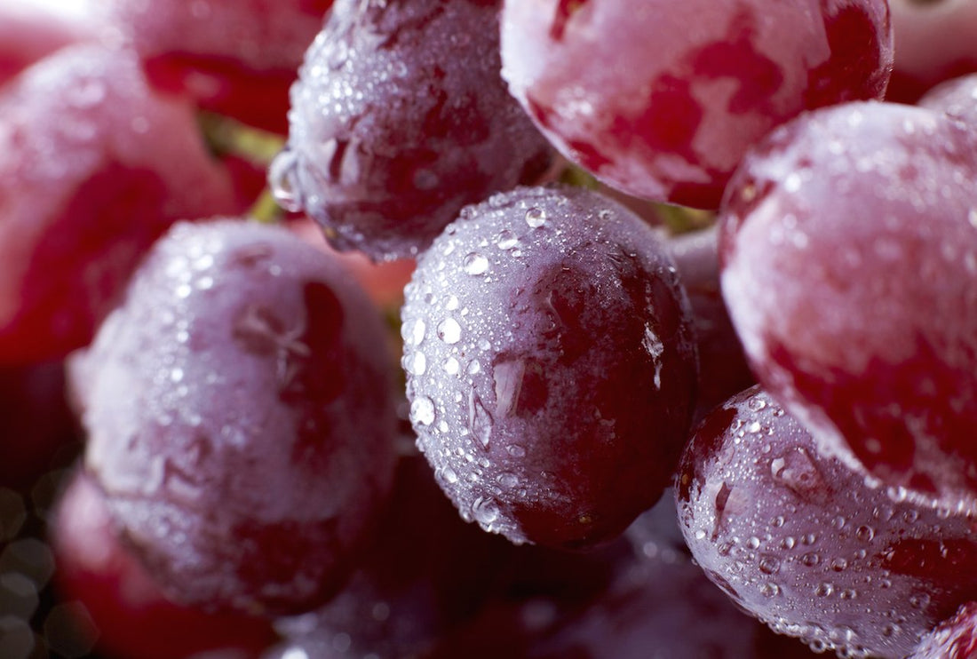 Top 4 des astuces pour servir votre vin bien frais