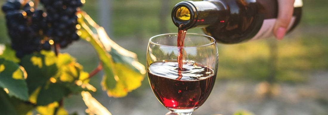 La véritable histoire du Beaujolais Nouveau : origine, tradition et secrets de fabrication