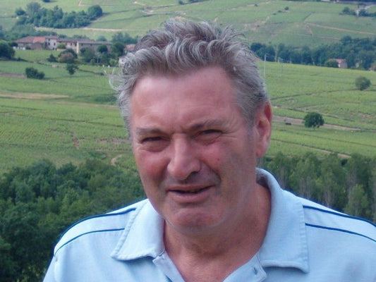 Zoom sur le domaine Joubert