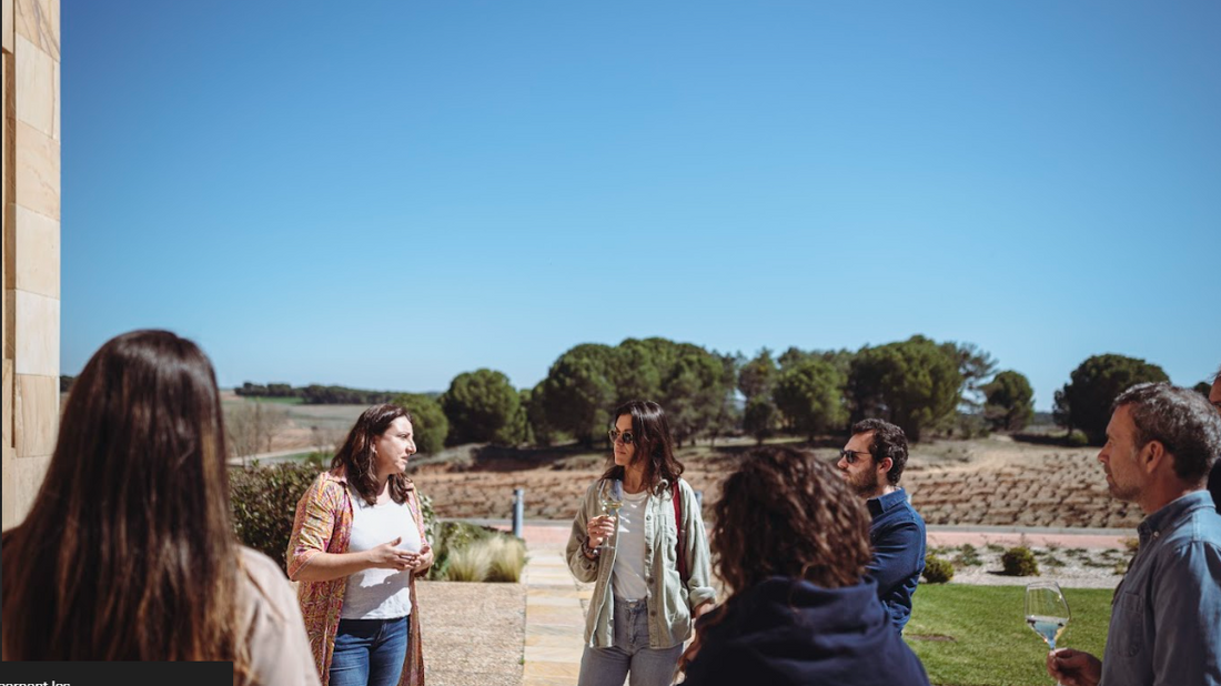 Top 4 des régions œnotouristiques à découvrir en Espagne