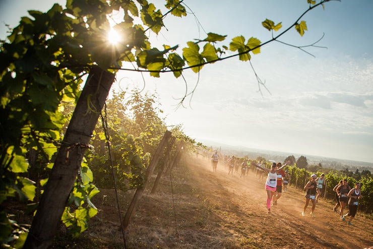 Top 7 des courses réservées aux amateurs de vin