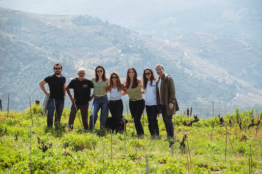 3 idées d'itinéraires au Portugal : sur les routes du vin portugais