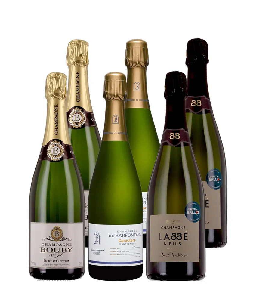 Champagne de vignerons - 6 bouteilles