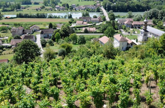 Château de Lucey