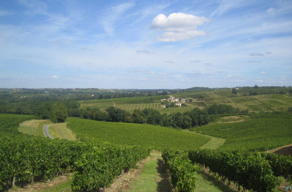 Château de Verdun
