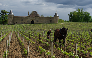 Château d'Eck