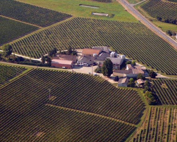 Château des Léotins