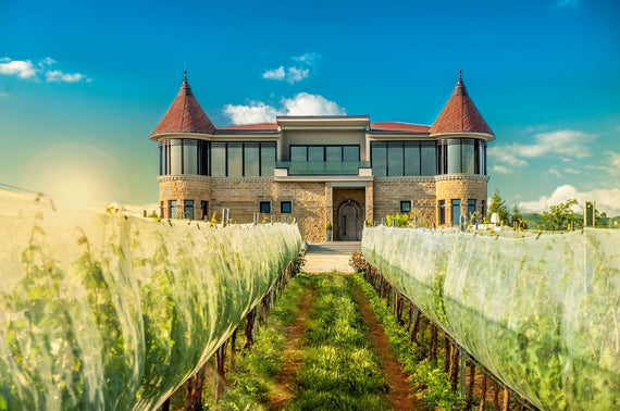 Château Kamnik