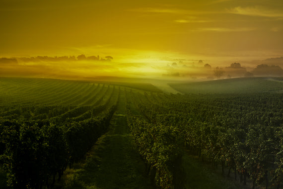 Château La Clémence