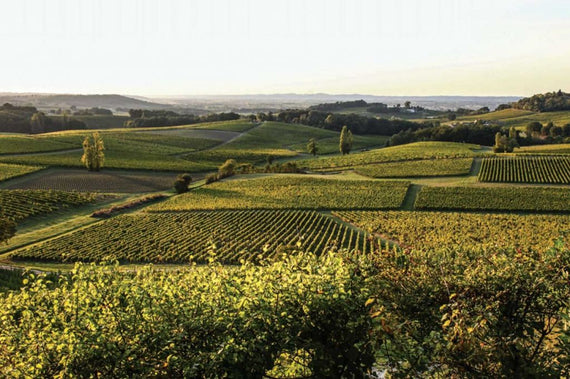 Château La Forêt