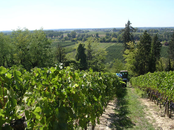Château Saint Estève d'Uchaux