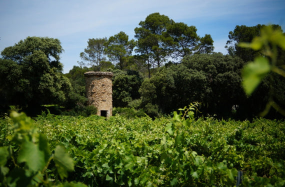 Château Simian