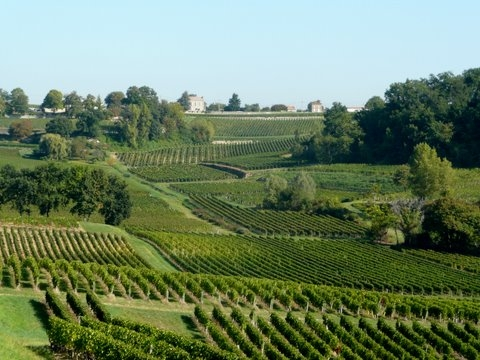 Château Tayac-Plaisance