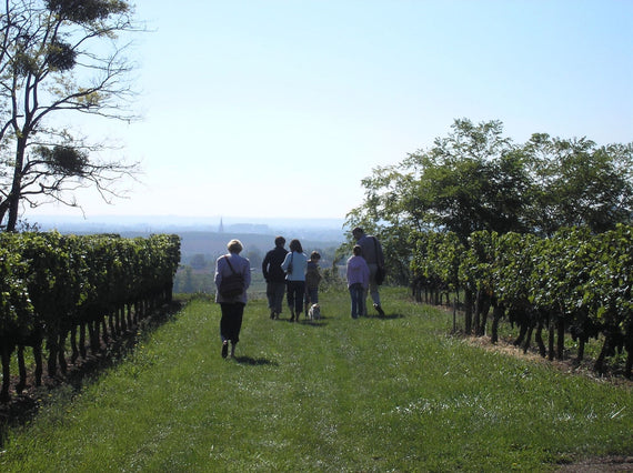 Château Vieux Mouleyre