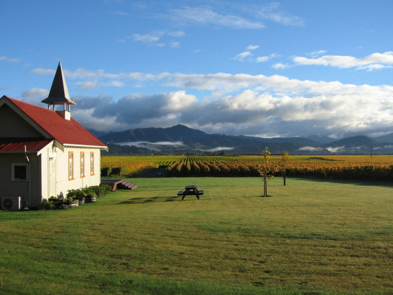 Clos Henri Vineyard