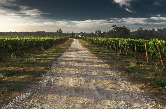 Clos Kixhaya