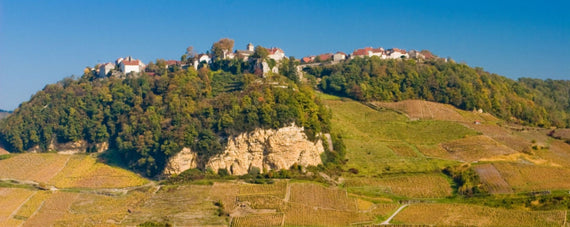 Domaine Berthet Bondet