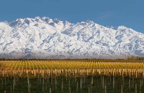 Domaine Bousquet
