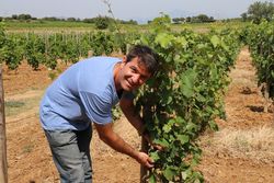 Domaine Clef de St Thomas