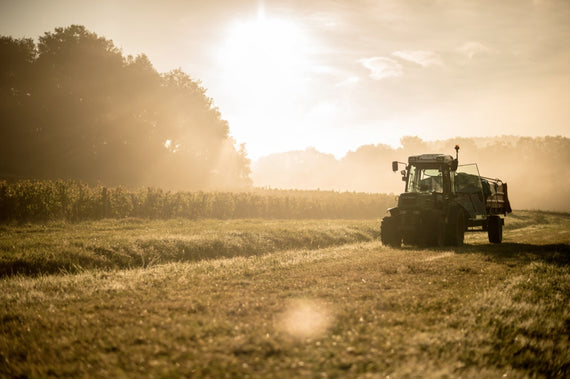 Domaine Courège-Longue
