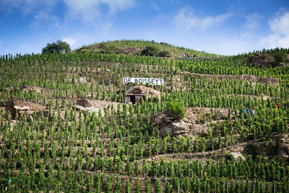 Domaine de Boisseyt