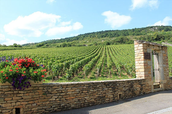 Domaine de Galimont