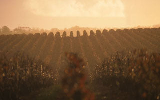 Domaine de la Chêneraie