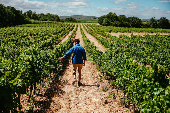 Domaine de la Dourbie
