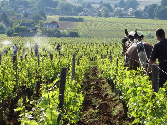 Domaine de la Soufrandière