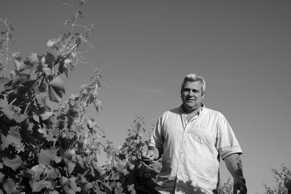 Domaine de la Tour Boisée