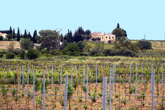Domaine de la Tête Noire