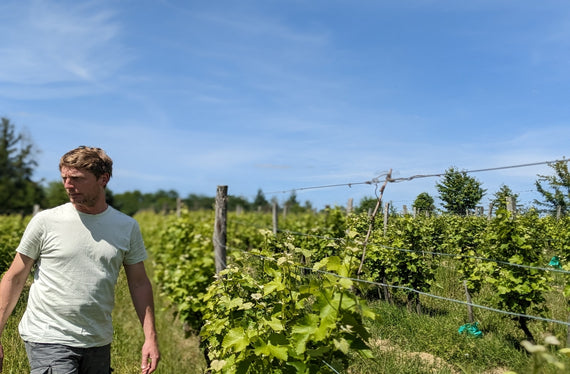 Domaine de Pajot
