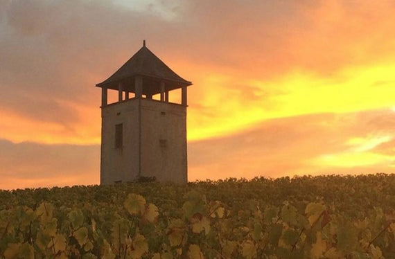 Domaine des Côteaux Blancs