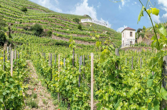 Domaine des Granges de Mirabel