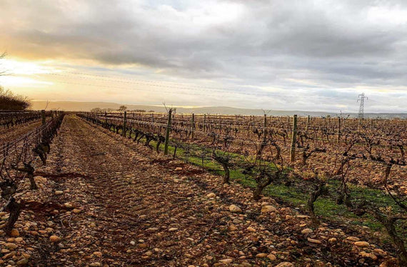 Domaine des Louis