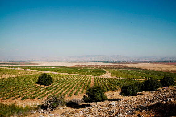 Domaine des Tourelles