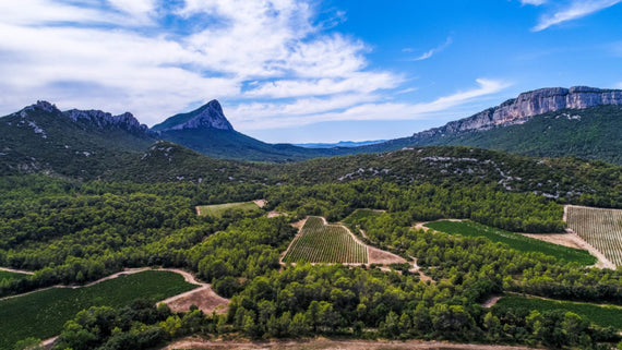 Domaine du Peyra