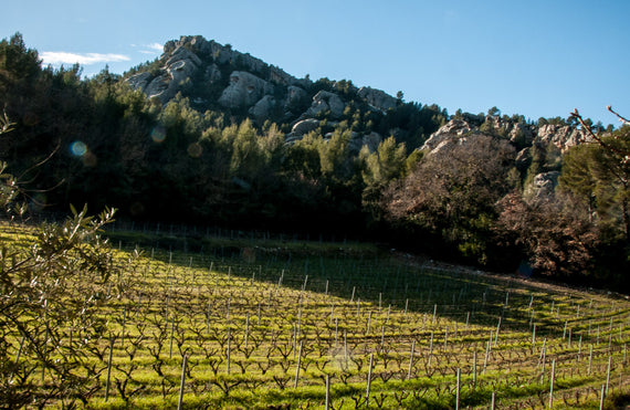 Domaine Dupuy de Lôme
