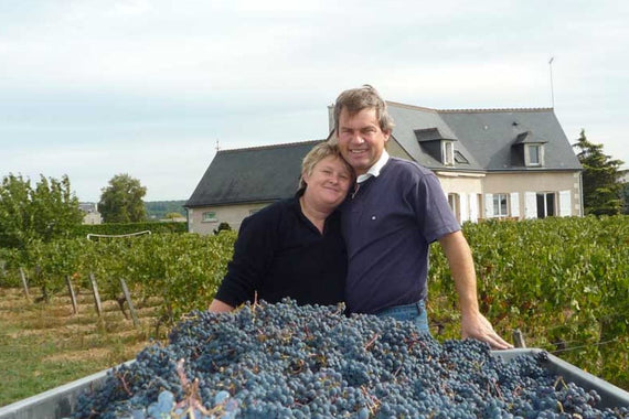 Domaine Fabrice Gasnier