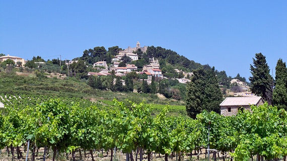 Domaine Fontaine des Fées
