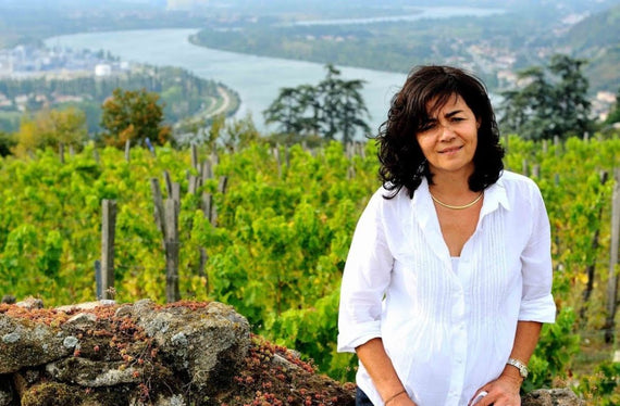 Domaine Georges Vernay