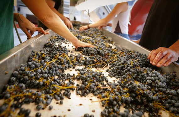 Domaine Grobois