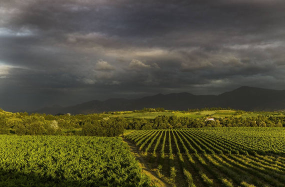 Domaine la Casenove