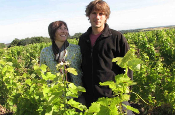 Domaine La Grange Tiphaine