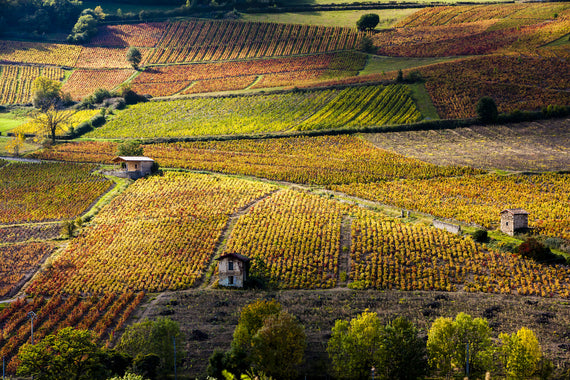 Domaine Lebreuil