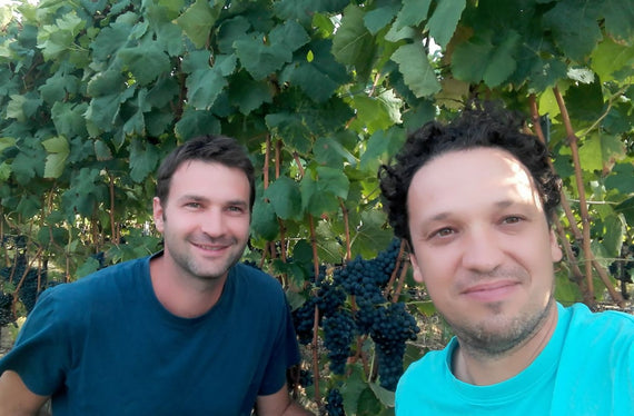 Domaine Luyton Fleury