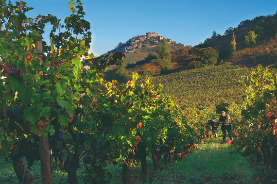 Domaine Matha