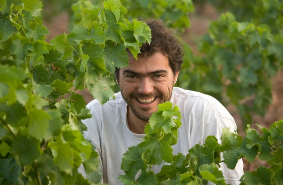Domaine Olivier Pithon