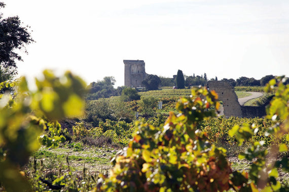 Domaine Pignan