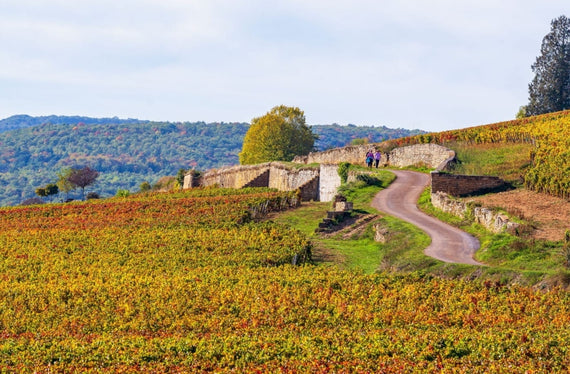 Domaine Trenet Père & Fils